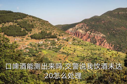 喝一口啤酒能測出來嗎,交警說我飲酒未達20怎么處理