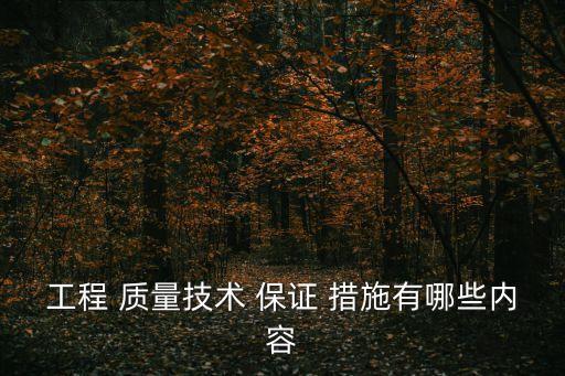 工程 質(zhì)量技術(shù) 保證 措施有哪些內(nèi)容