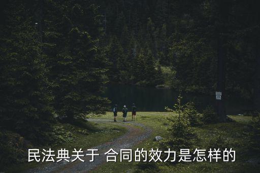  民法典關(guān)于 合同的效力是怎樣的