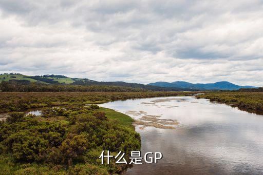 gp是什么意思,怪物獵人gp是什么意思