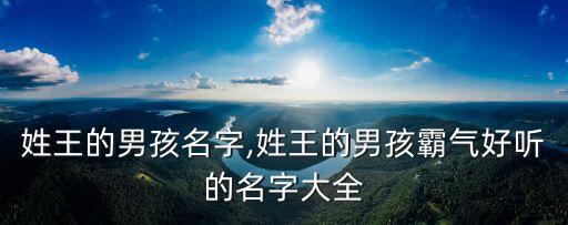 王澤明