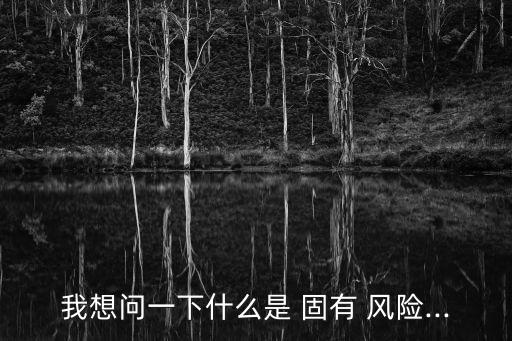 我想問一下什么是 固有 風(fēng)險...