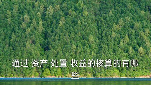 通過 資產(chǎn) 處置 收益的核算的有哪些