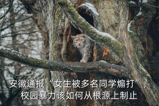 安徽通報“女生被多名同學煽打”, 校園暴力該如何從根源上制止
