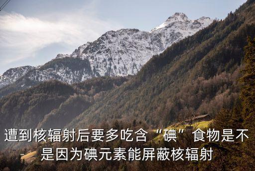 碘片防輻射