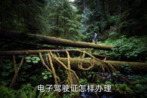 電子證照