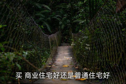商業(yè)住房