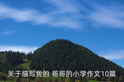 關(guān)于描寫我的 哥哥的小學(xué)作文10篇