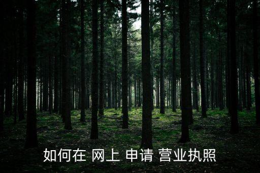 如何在 網(wǎng)上 申請 營業(yè)執(zhí)照