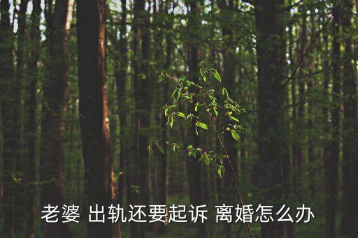 老婆 出軌還要起訴 離婚怎么辦