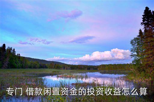 專門 借款閑置資金的投資收益怎么算