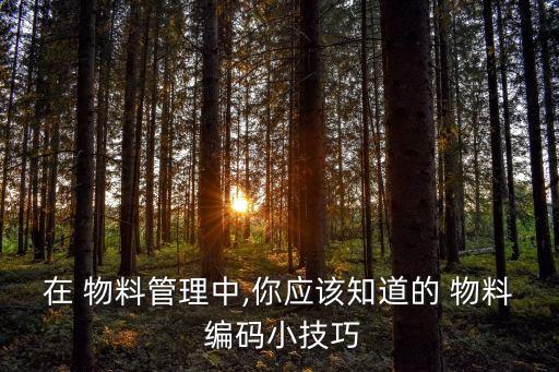 物料編碼規(guī)則范本,erp物料編碼規(guī)則