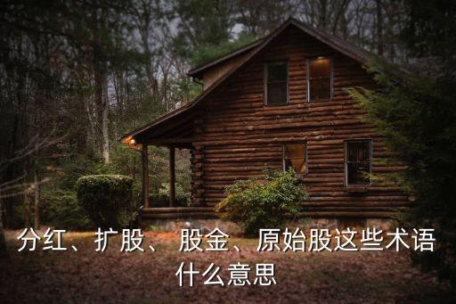 分紅、擴股、 股金、原始股這些術語什么意思