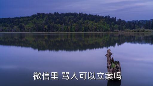 微信罵人犯法嗎