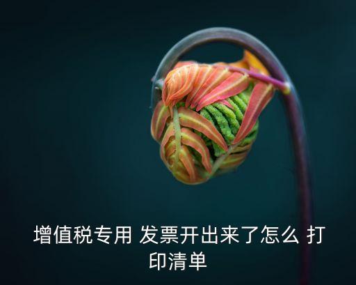  增值稅專用 發(fā)票開出來了怎么 打印清單