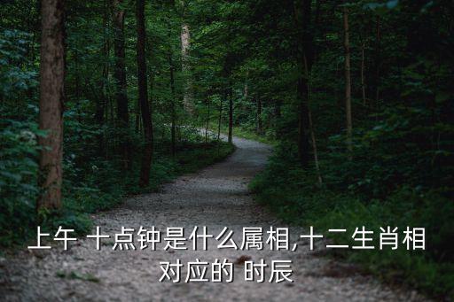 上午 十點鐘是什么屬相,十二生肖相對應(yīng)的 時辰