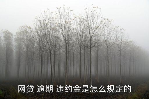 網(wǎng)貸 逾期 違約金是怎么規(guī)定的