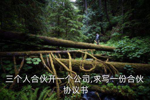 三個(gè)人合伙開一個(gè)公司,求寫一份合伙 協(xié)議書