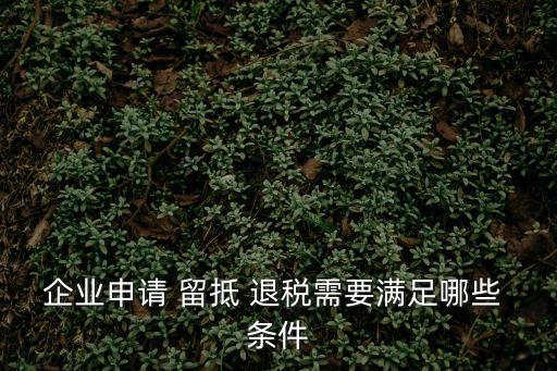 企業(yè)申請 留抵 退稅需要滿足哪些 條件