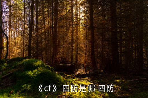 《cf》 四防是哪 四防