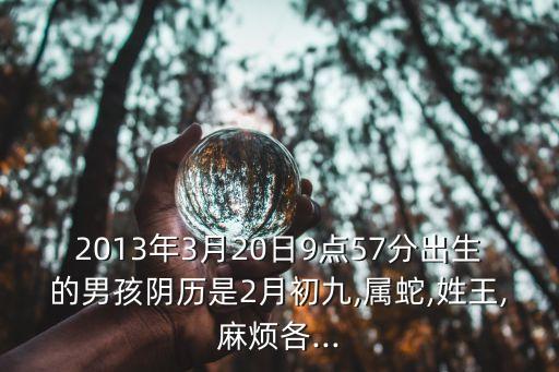 2013年3月20日9點(diǎn)57分出生的男孩陰歷是2月初九,屬蛇,姓王,麻煩各...