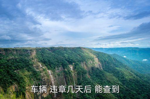 車輛 違章幾天后 能查到