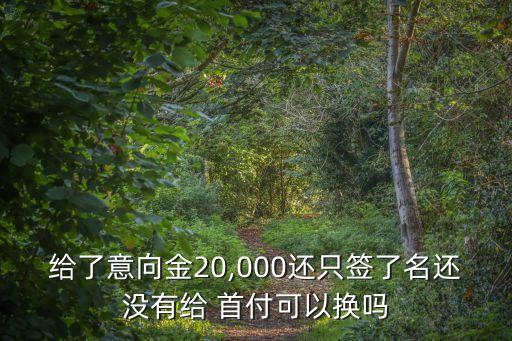 給了意向金20,000還只簽了名還沒有給 首付可以換嗎