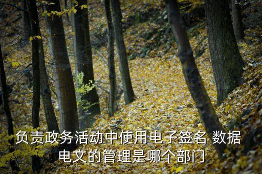 數(shù)據(jù)電文