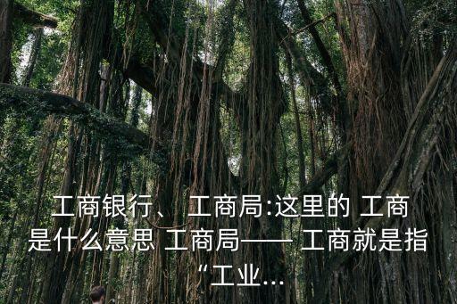 工商是什么意思,虛擬主播工商是什么意思