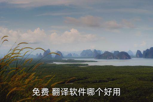 免費(fèi) 翻譯軟件哪個(gè)好用