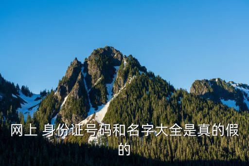 網(wǎng)上 身份證號碼和名字大全是真的假的
