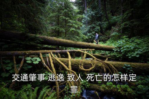 逃逸致人死亡,肇事逃逸致人死亡