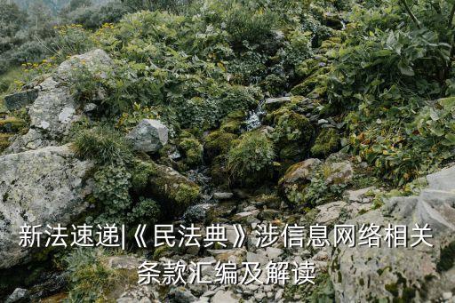 新法速遞|《民法典》涉信息網(wǎng)絡(luò)相關(guān)條款匯編及解讀