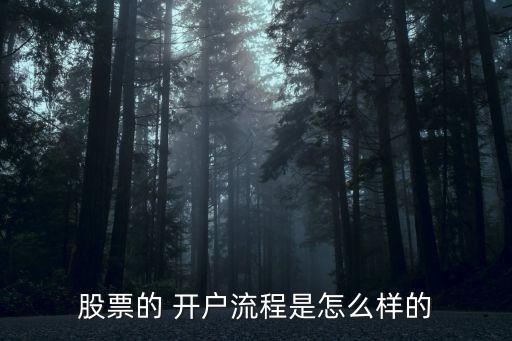 炒股怎么開(kāi)戶(hù),手機(jī)炒股怎么開(kāi)戶(hù)