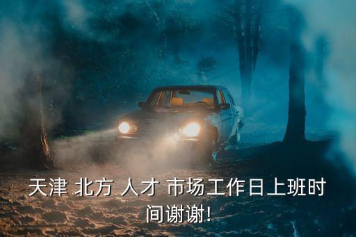 北方人才市場,天津市中國北方人才市場