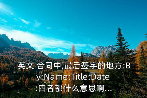  英文 合同中,最后簽字的地方:By:Name:Title:Date:四者都什么意思啊...
