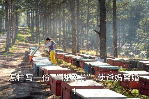 怎樣寫一份“ 協(xié)議書”,使爸媽離婚!