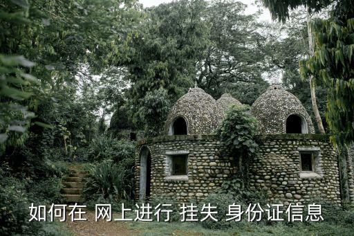 如何在 網(wǎng)上進行 掛失 身份證信息