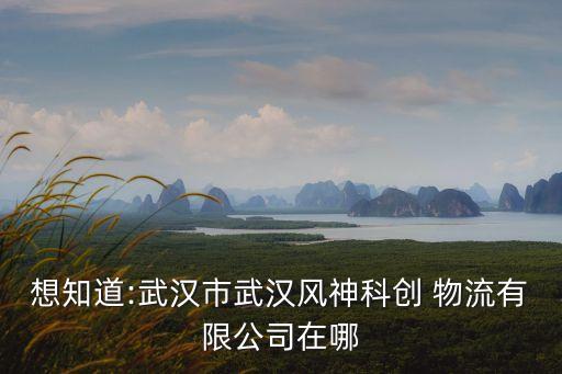 東風(fēng)物流調(diào)達(dá)系統(tǒng)