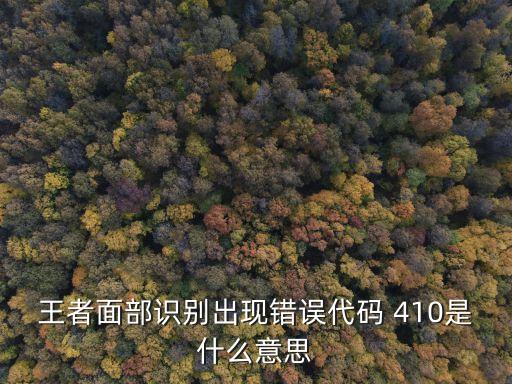 王者面部識(shí)別出現(xiàn)錯(cuò)誤代碼 410是什么意思
