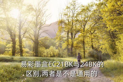  易彩墨盒EC21BK與24BK的區(qū)別,兩者是不是通用的