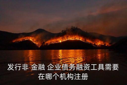發(fā)行非 金融 企業(yè)債務(wù)融資工具需要在哪個(gè)機(jī)構(gòu)注冊(cè)