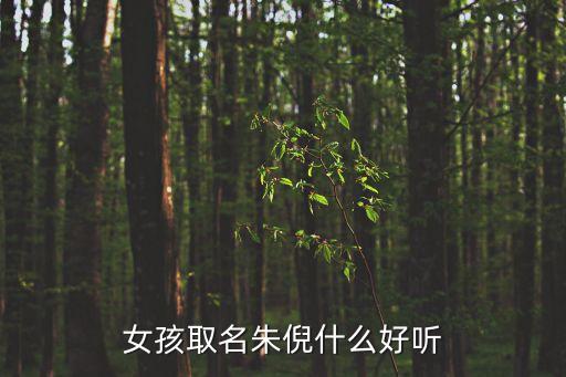 倪倩