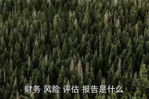 企業(yè)風(fēng)險(xiǎn)評(píng)估報(bào)告,藥品經(jīng)營(yíng)企業(yè)風(fēng)險(xiǎn)評(píng)估報(bào)告