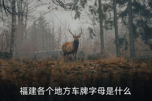 福建各個(gè)地方車(chē)牌字母是什么