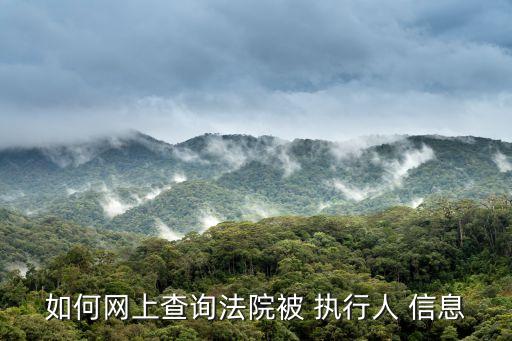 中國執(zhí)行信息