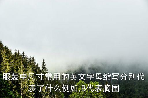 服裝中尺寸常用的英文字母縮寫(xiě)分別代表了什么例如,B代表胸圍