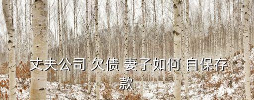  丈夫公司 欠債 妻子如何 自保存款