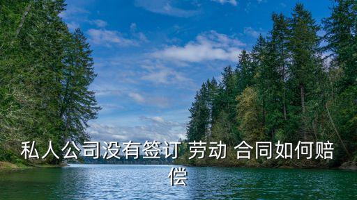 老板沒簽勞動合同怎么要求賠錢,沒簽勞動合同一告一個準嗎