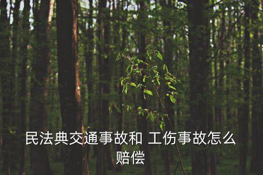  民法典交通事故和 工傷事故怎么 賠償